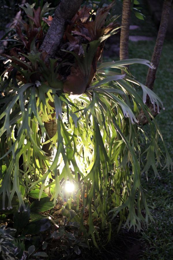 Sari House Ubud - Balinese Style Homestay エクステリア 写真